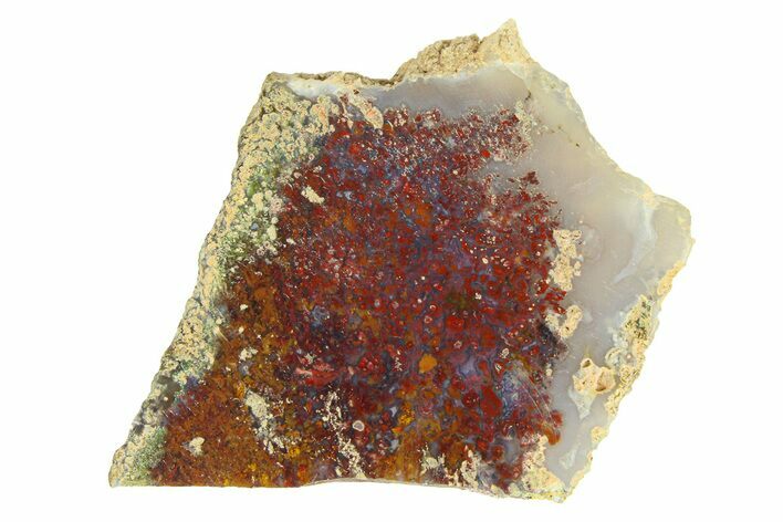 Polished Colorful Plume Agate Slab - Java, Indonesia #293375